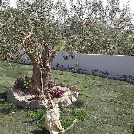 Holiday Home Gabi Rogoznica  Dış mekan fotoğraf